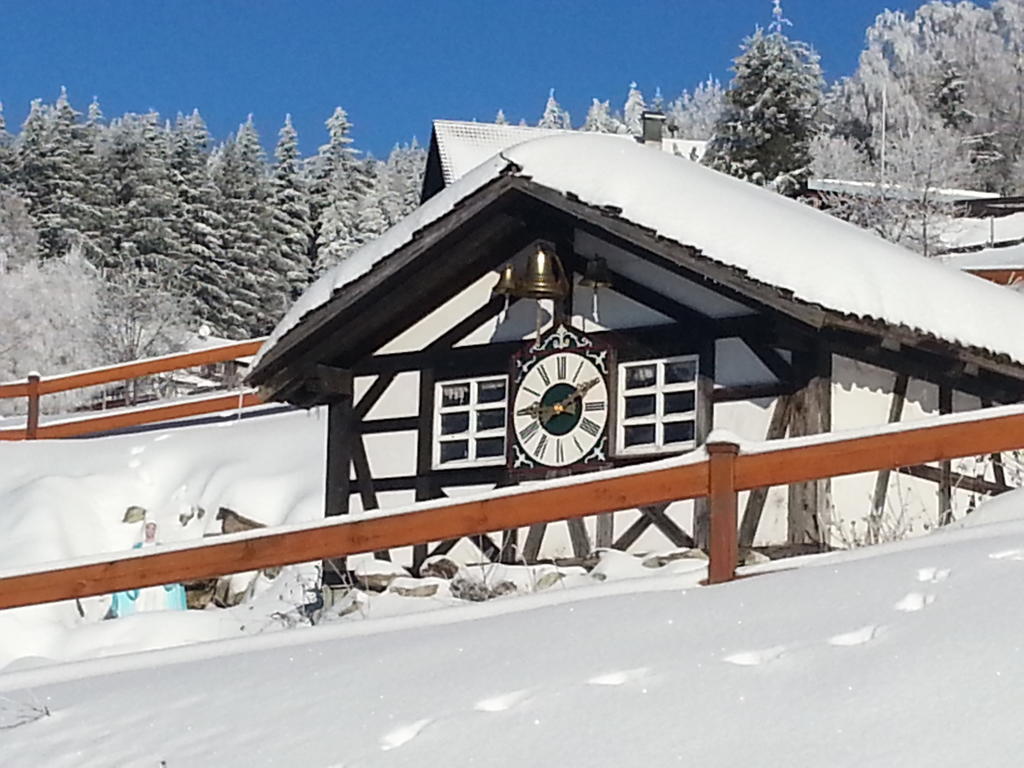 Hotel-Berggasthof Schwarzwaldperle Sasbachwalden Ngoại thất bức ảnh