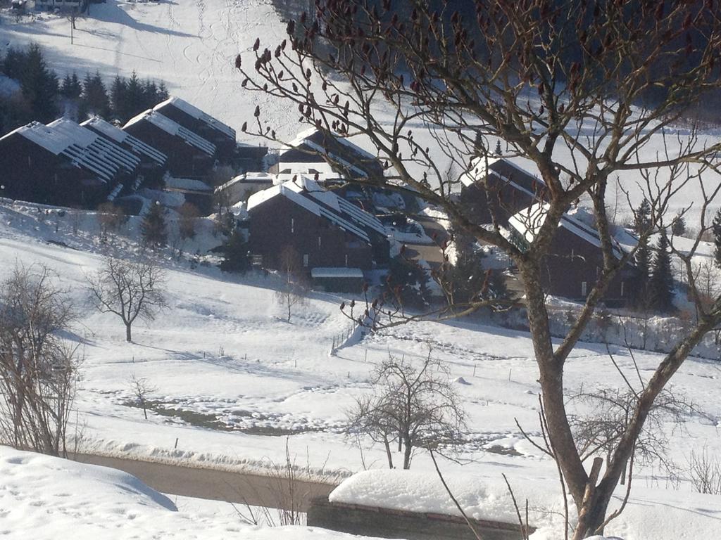Hotel-Berggasthof Schwarzwaldperle Sasbachwalden Ngoại thất bức ảnh